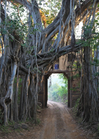 ranthambore national park tiger safari booking