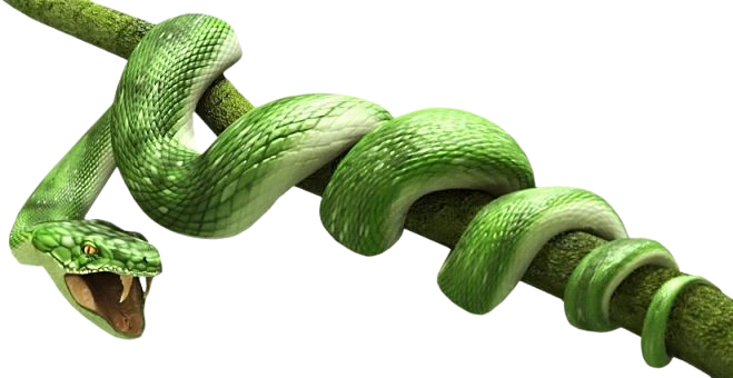 ranthambore wildlife tours